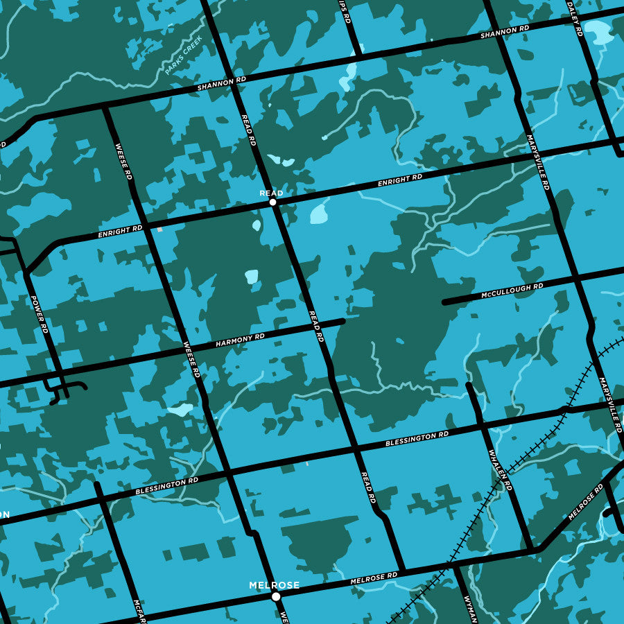 Tyendinaga Township Map Print